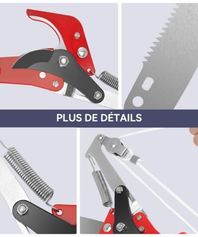 Scie 2 en 1 pour la coupe et l'élagage, coupe les branches hautes