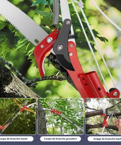 Scie 2 en 1 pour la coupe et l'élagage, coupe les branches hautes