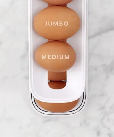 CASIER À OEUFS À DÉFILEMENT AUTOMATIQUE