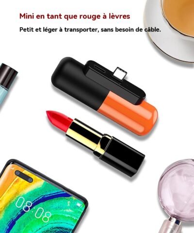 Mini petite banque d'alimentation portable