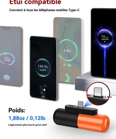 Mini petite banque d'alimentation portable