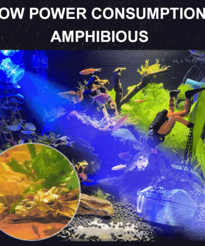 Pleins feux sur les aquariums terrestres et aquatiques