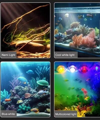 Pleins feux sur les aquariums terrestres et aquatiques