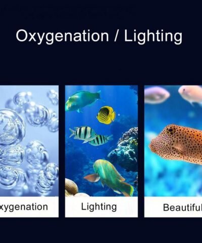 Lampe de plongée à LED pour aquarium