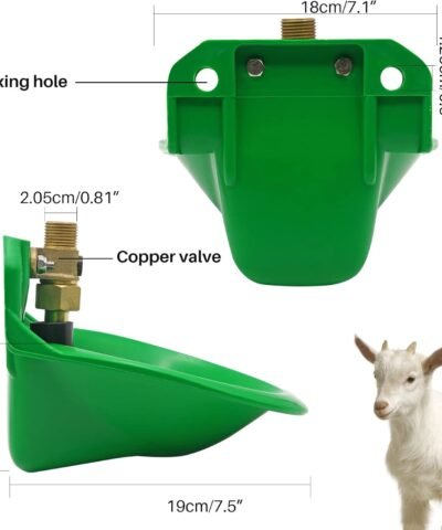 Abreuvoir automatique pour mouton Fontaine à eau automatique pour mouton